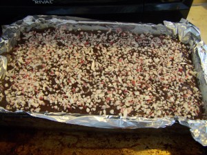 Peppermint Fudge Completed