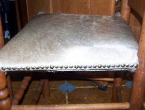 Chair Seat close-up