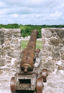 From the top of the citadel wall at Goliad. No desert.