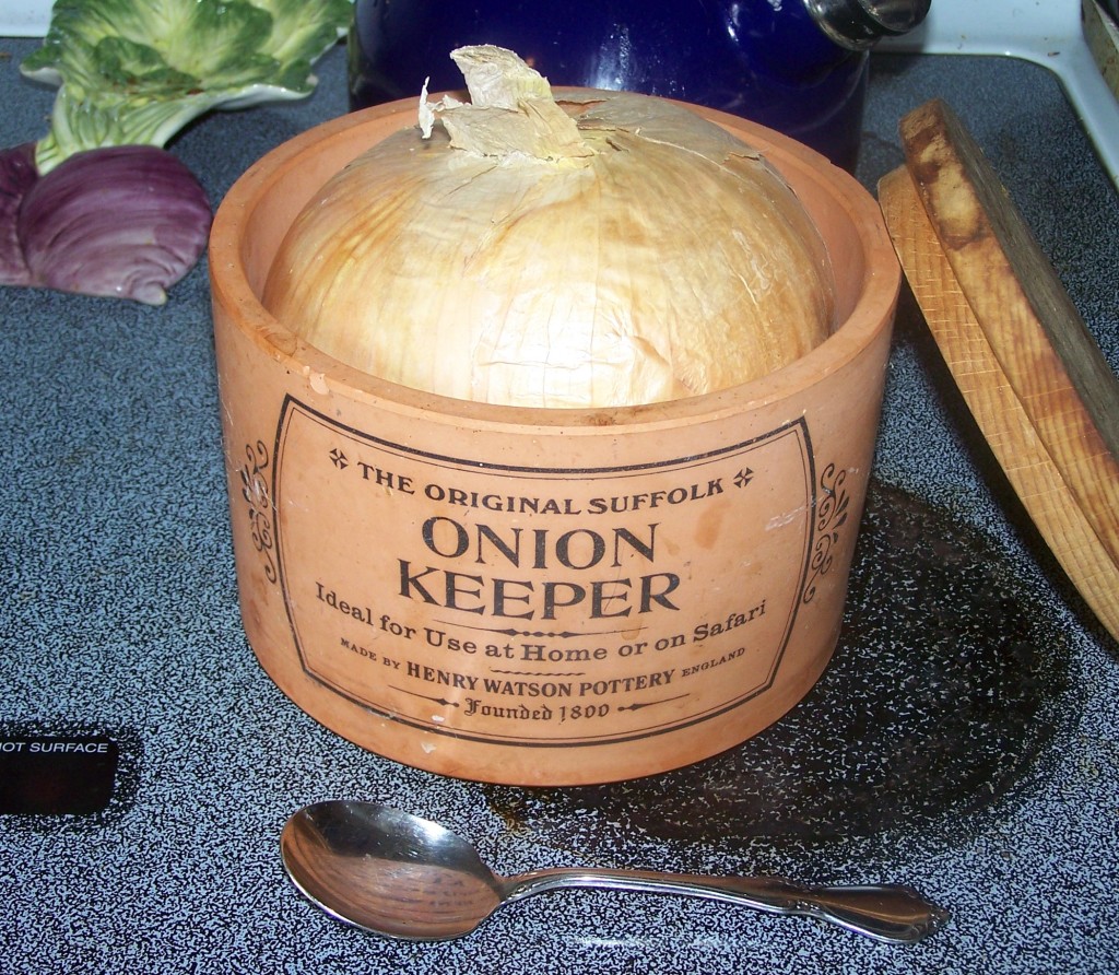 Observe - a single specimen completely fills the Suffolk Onion Keeper