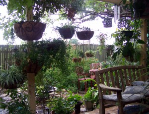 A View from the back porch, incorporating the mulberry several years ago