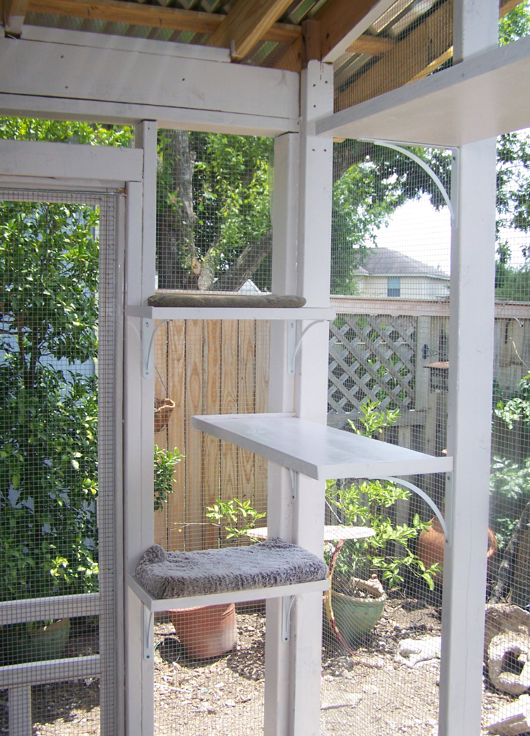 Catio of Splendor Interior with Catbed shelves Celia Hayes The